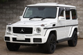 2017 Mercedes-Benz G CLASS null