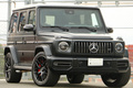 2019 Mercedes-AMG G CLASS null