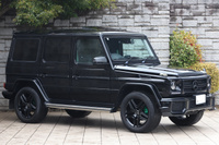 2016 Mercedes-Benz G CLASS null
