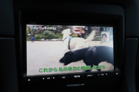 2015 Porsche BOXSTER 