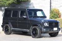 2019 Mercedes-Benz G CLASS null