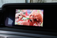 2019 Mercedes-Benz G CLASS null