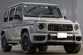 2025 Mercedes-AMG G CLASS null