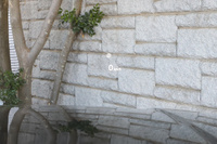 2024 Land Rover RANGE ROVER 