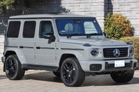 2025 Mercedes-Benz G CLASS null