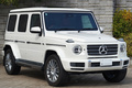 2021 Mercedes-Benz G CLASS 