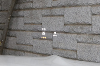 2016 Mercedes-AMG C CLASS null