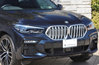 2021 BMW X6 