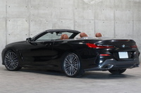 2021 BMW 8 SERIES null