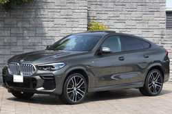 2023 BMW X6