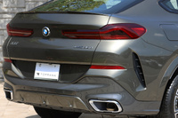 2021 BMW X6 null