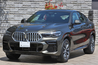 2021 BMW X6 null