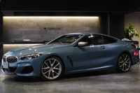 2019 BMW 8 SERIES null
