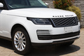 2019 Land Rover RANGE ROVER 