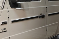 2021 Mercedes-AMG G CLASS null