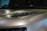 2025 Land Rover DEFENDER null