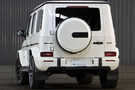 2019 Mercedes-AMG G CLASS 