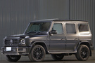 2021 Mercedes-Benz G CLASS null
