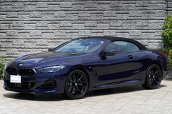 2025 BMW 8 SERIES