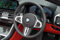 2025 BMW 8 SERIES null