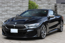 2019 BMW 8 SERIES null