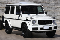2017 Mercedes-Benz G CLASS null