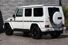 2017 Mercedes-Benz G CLASS null