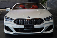 2019 BMW 8 SERIES null