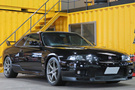 1996 Nissan SKYLINE GT-R R33 GT-R V-Spec, TRUST Air cleaner, BLITZ Adjustable Height Coilovers, Tom's Racing Steering Wheel