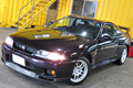 1995 Nissan SKYLINE GT-R R33 GT-R LP2 Midnight Purple 