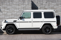 2017 Mercedes-Benz G CLASS null