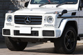2017 Mercedes-Benz G CLASS null