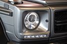 2016 Mercedes-AMG G CLASS null