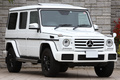 2017 Mercedes-Benz G CLASS G350D LUX-PG