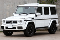 2017 Mercedes-Benz G CLASS G350D LUX-PG