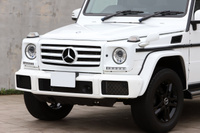 2017 Mercedes-Benz G CLASS G350D LUX-PG