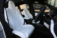 2017 TESLA model X 100D