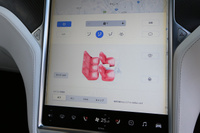 2017 TESLA model X 100D