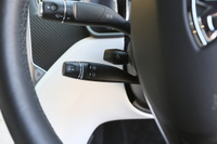 2017 TESLA model X 100D