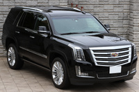 2017 Cadillac ESCALADE null