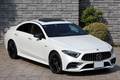 2018 Mercedes-AMG CLS Class CLS53 4M+ED1 AWD 4WD