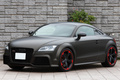 2013 Audi TT RS PLUS COUPE null
