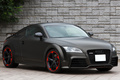 2013 Audi TT RS PLUS COUPE null