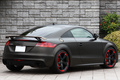 2013 Audi TT RS PLUS COUPE null