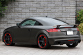 2013 Audi TT RS PLUS COUPE null