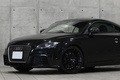 2014 Audi TT RS PLUS COUPE null