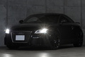 2014 Audi TT RS PLUS COUPE null