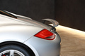 2010 Porsche CAYMAN null
