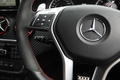 2013 AMG A CLASS null