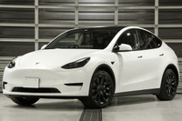 2022 TESLA MODELY null